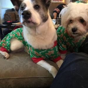 Meet your Posher, Christopher